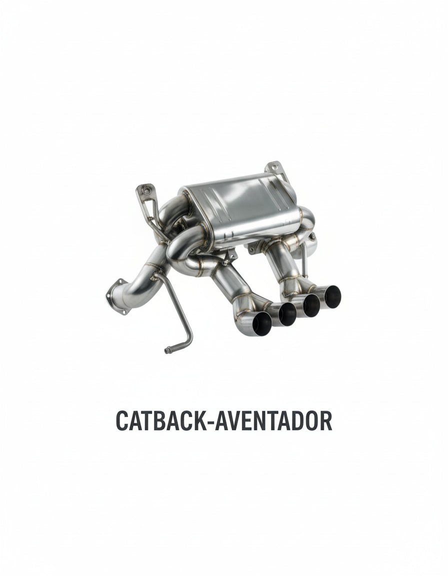 Original supplier reverse view of the TOP SPEED PRO-1 CATBACK-AVENTADOR exhaust assembly.