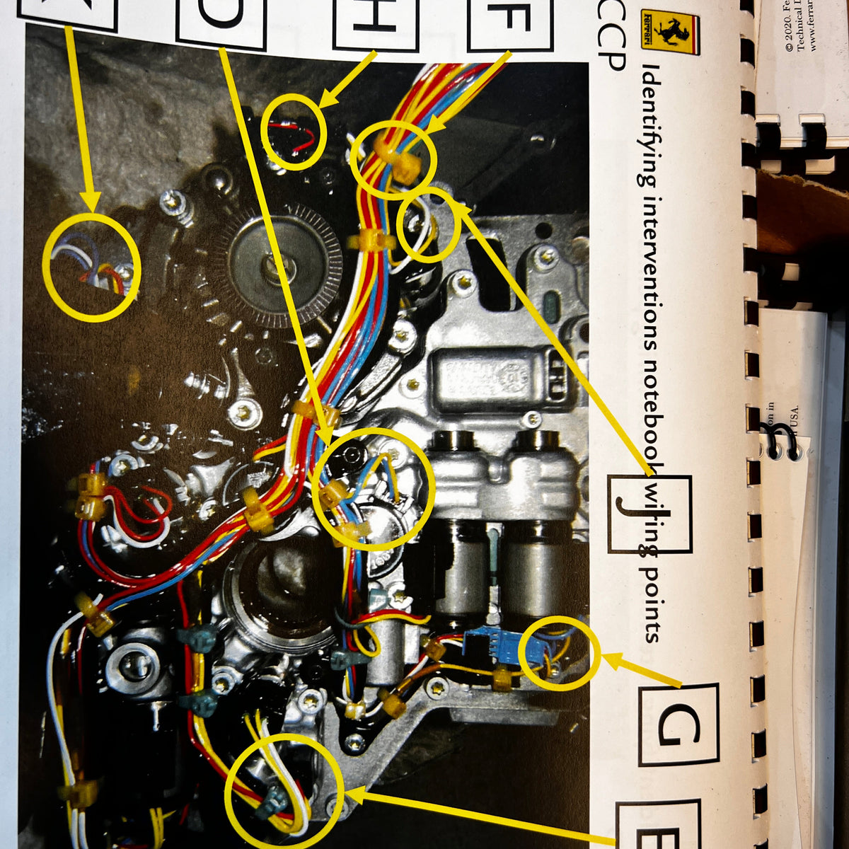Original Ferrari CCP annotated transmission wiring-points reference with yellow arrows; exact PTU application unverified.