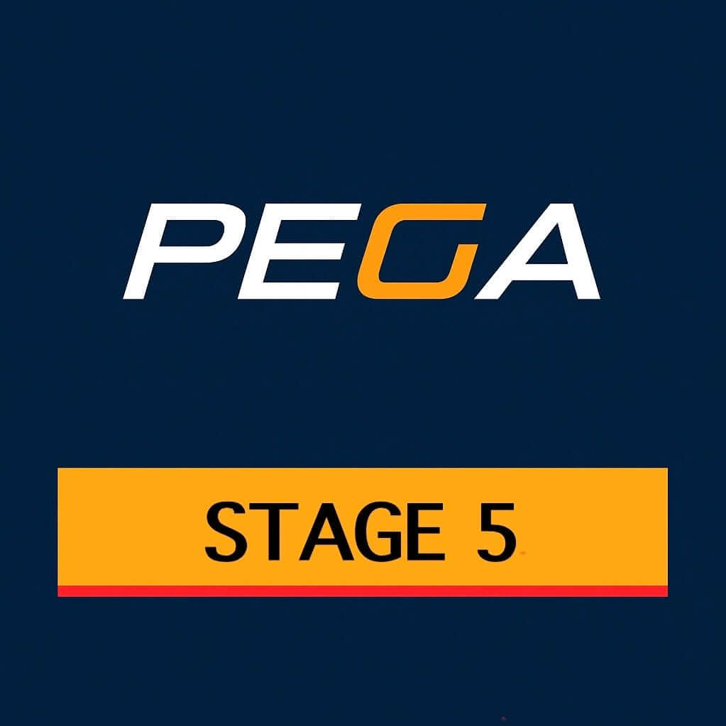 PEGA Clutch Stage 5 badge
